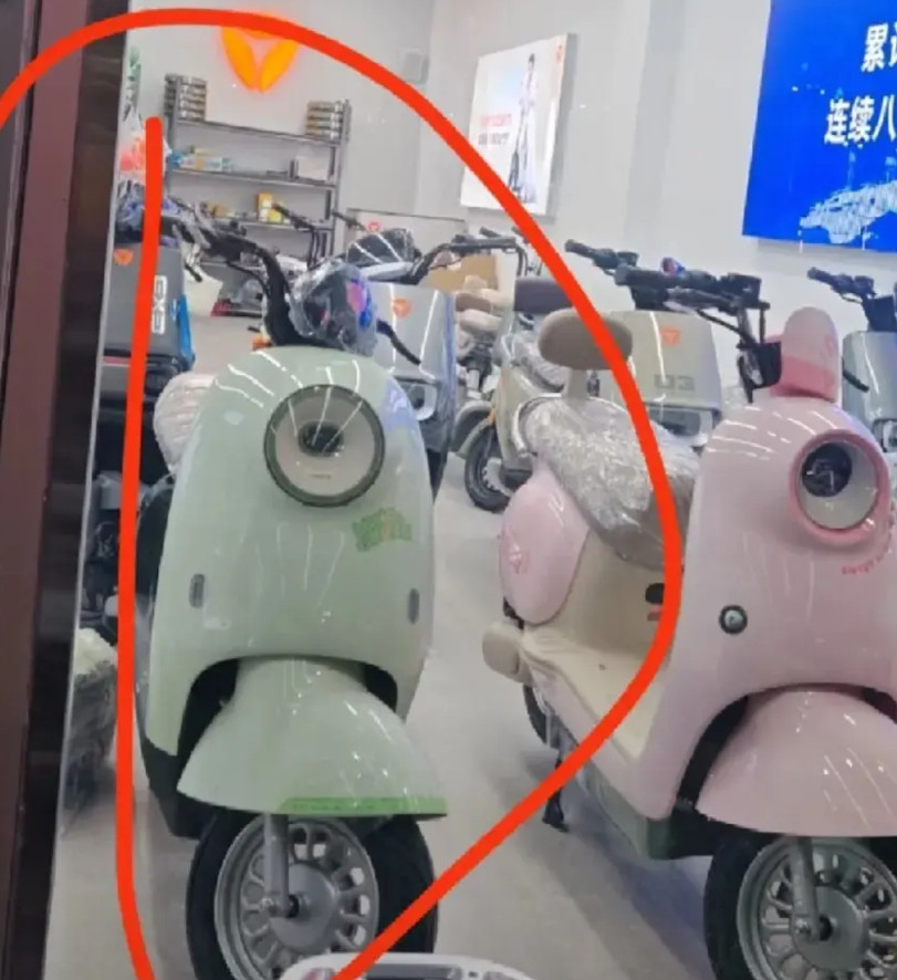 我弟开了一家雅迪电动车店，总共投入了十二万，还请了个修车师傅，可是开业到现在已经