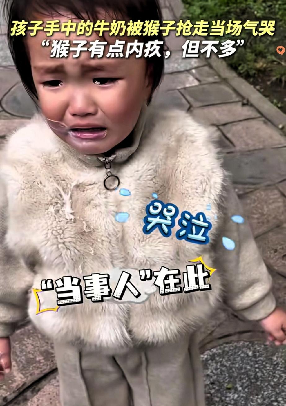 谁能想到，一只猴子抢完牛奶，竟露出了全网最纠结的表情！贵阳弘福寺这只小猴，一