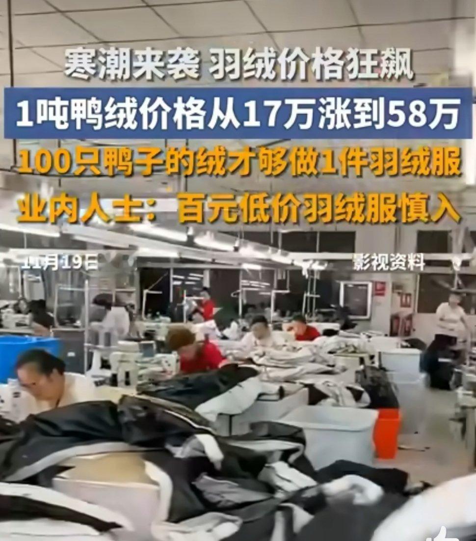 羽绒服出厂价逼近千元，意外催生了消费市场的分流。一边是品牌坚守品质导致成本高企，