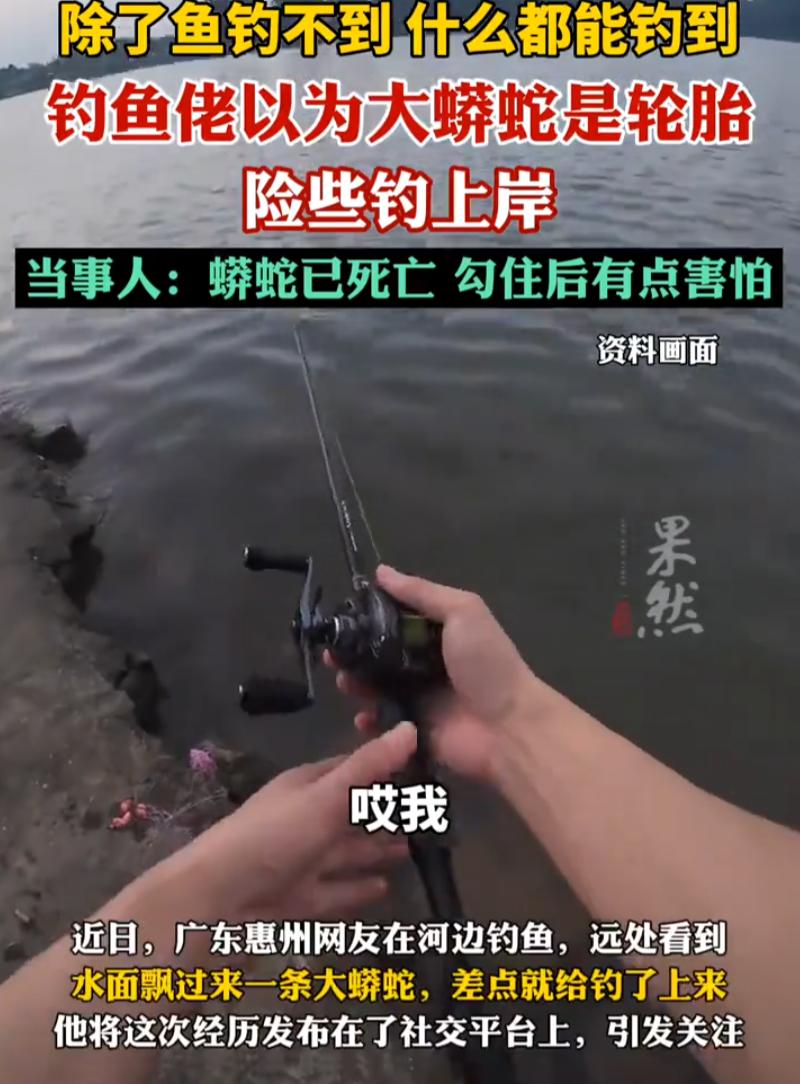 钓鱼最怕的不是空军没鱼口，而是你坐等鱼儿上钩，水里漂来意料之外的东西。广东惠州，