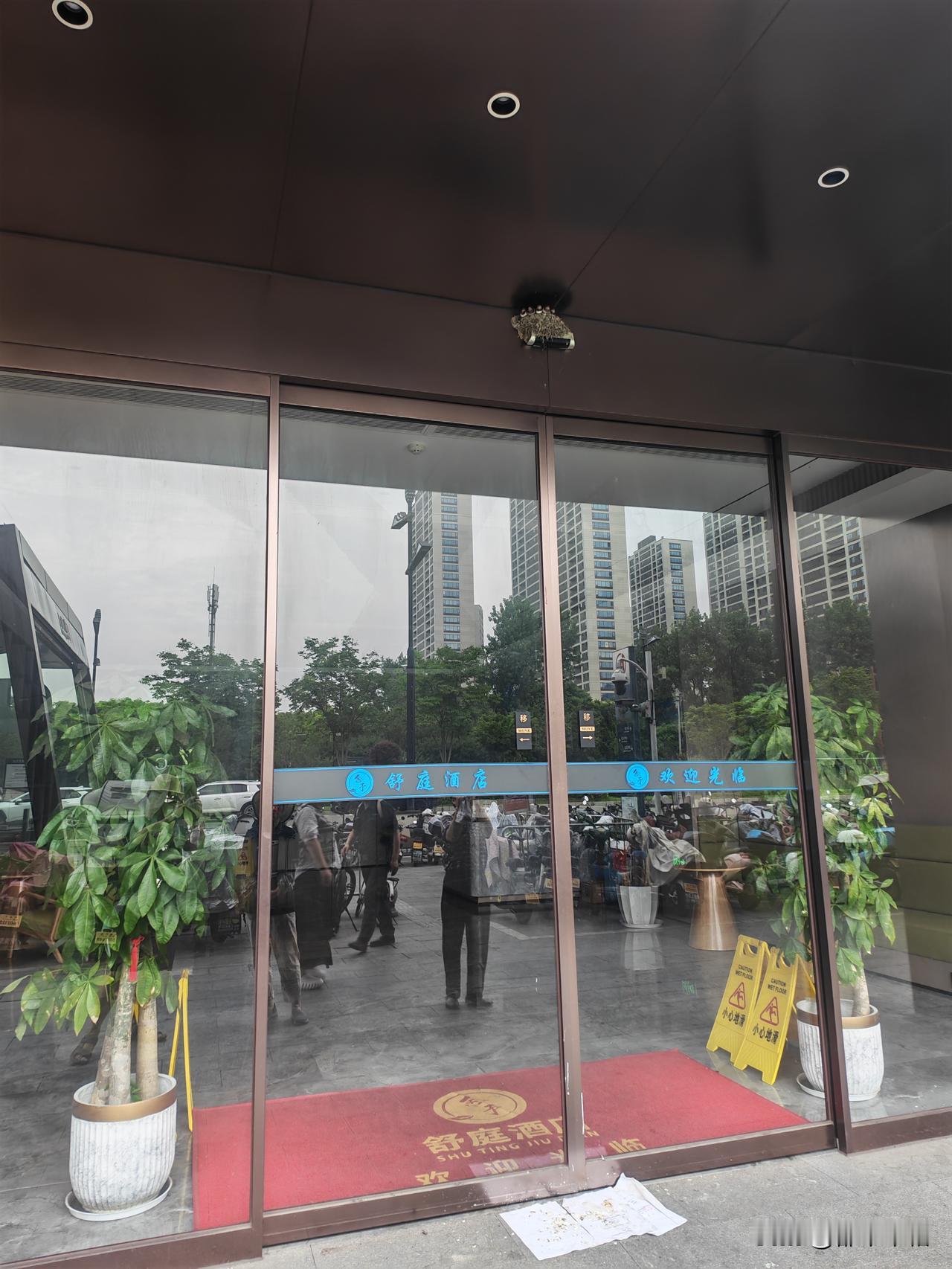 中国人对燕子有特殊的感情。燕子在酒店大门中正间筑巢，小燕子把屎拉在酒店大门中正间