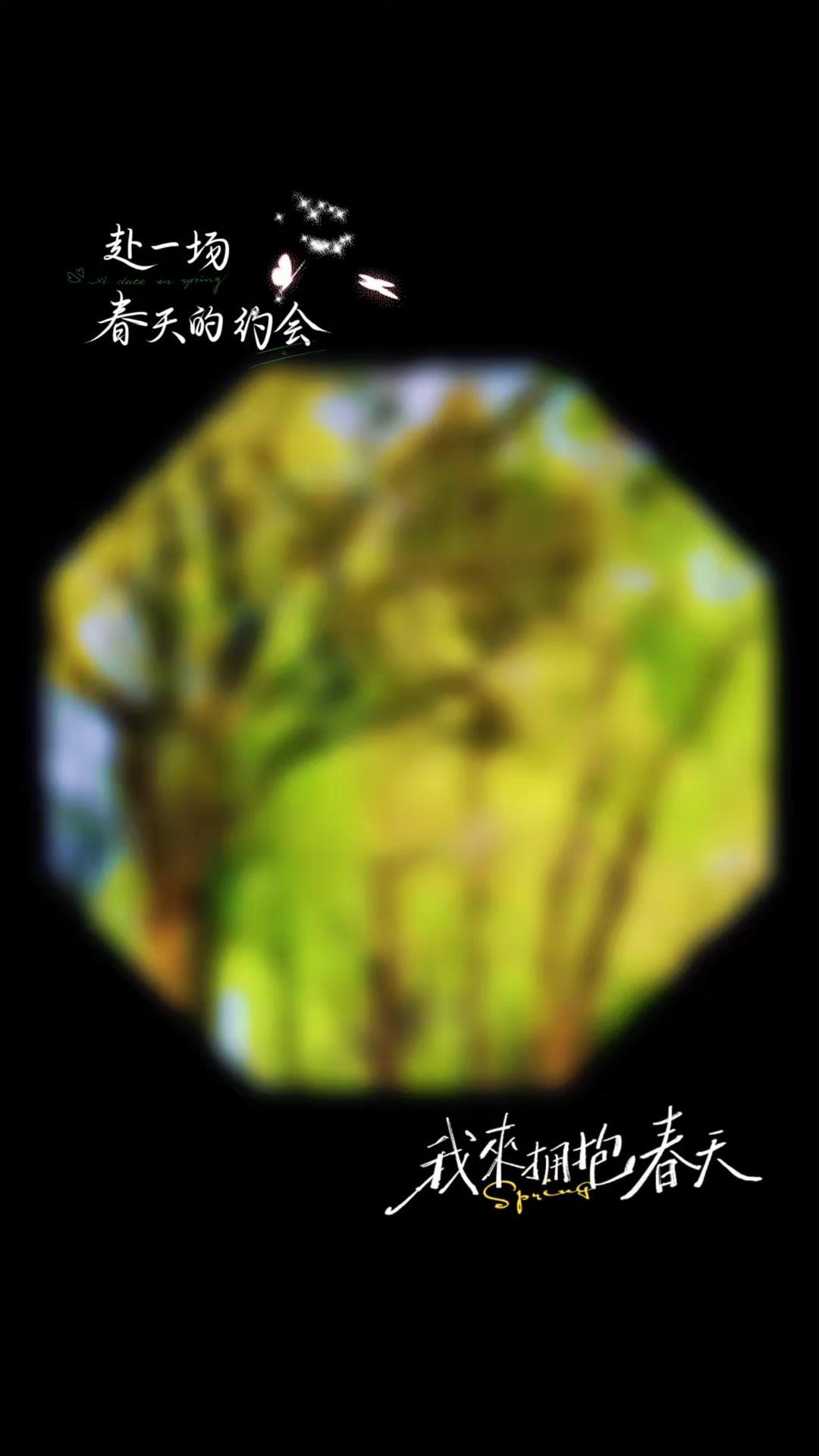 春天真的来啦！走在路上看到路边的桃花开得粉粉的，柳树叶子也绿油油的，风一吹还有点