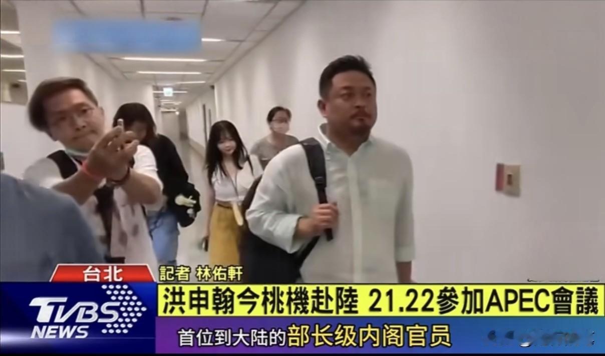 民进党政客洪申翰来南京参加APEC部长级会议，其实最尴尬最不爽的是绿营青鸟们。