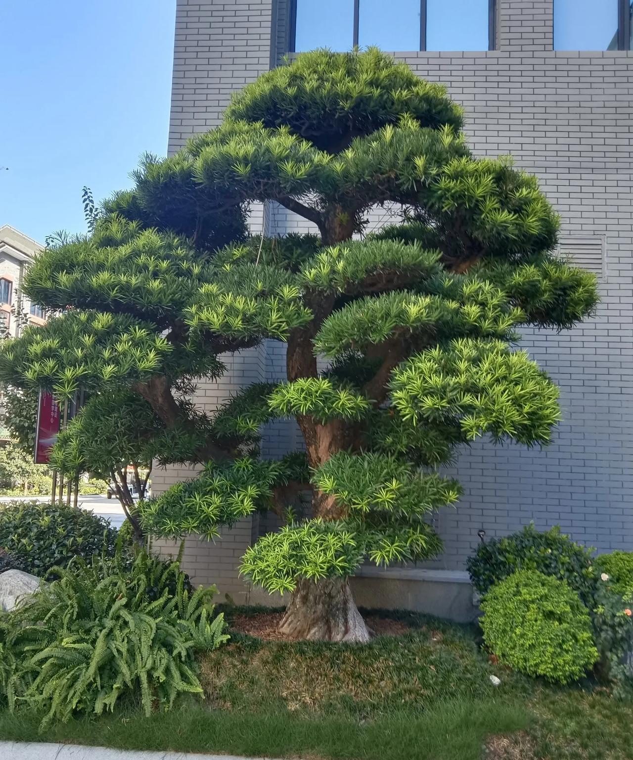 人的命天注定，我碰见当年一起在杭州工地干活的发小。我个人找了个小饭馆，边吃边聊。