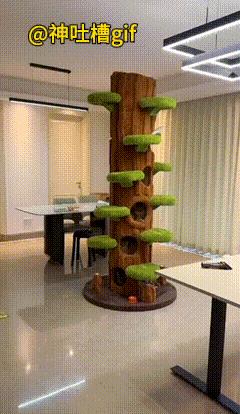 猫咪的新家：买了一棵大树的道具，上面有很多树洞，还有台阶，这样每个小猫就有自己的