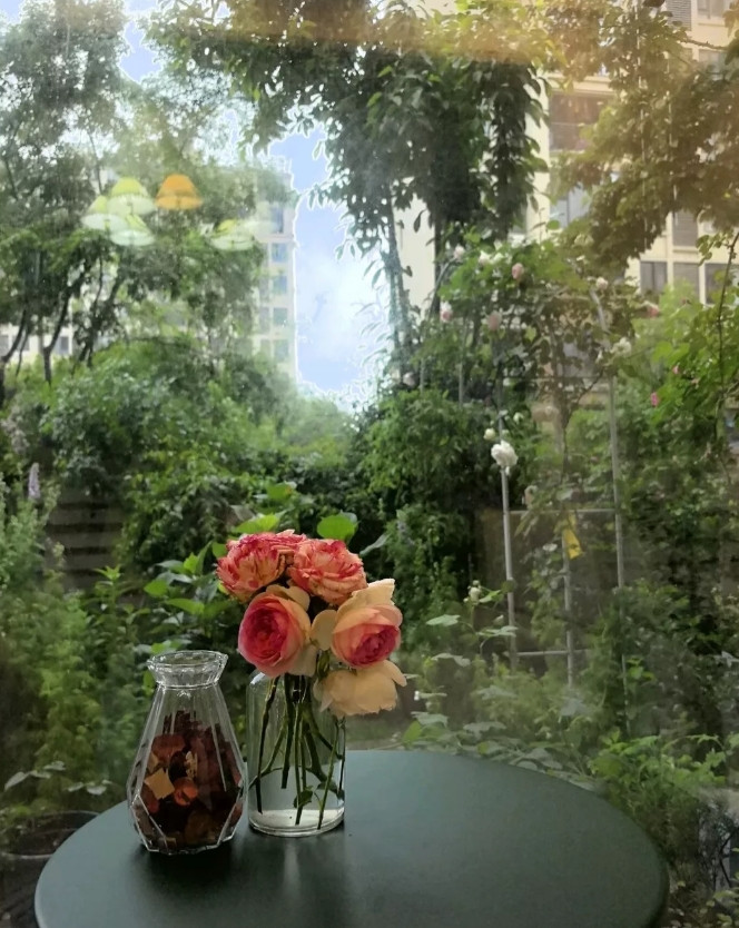 表妹今天相亲，回来却哭丧着脸，一问才知是相亲失败了，表妹说一开始男的对她挺满意，