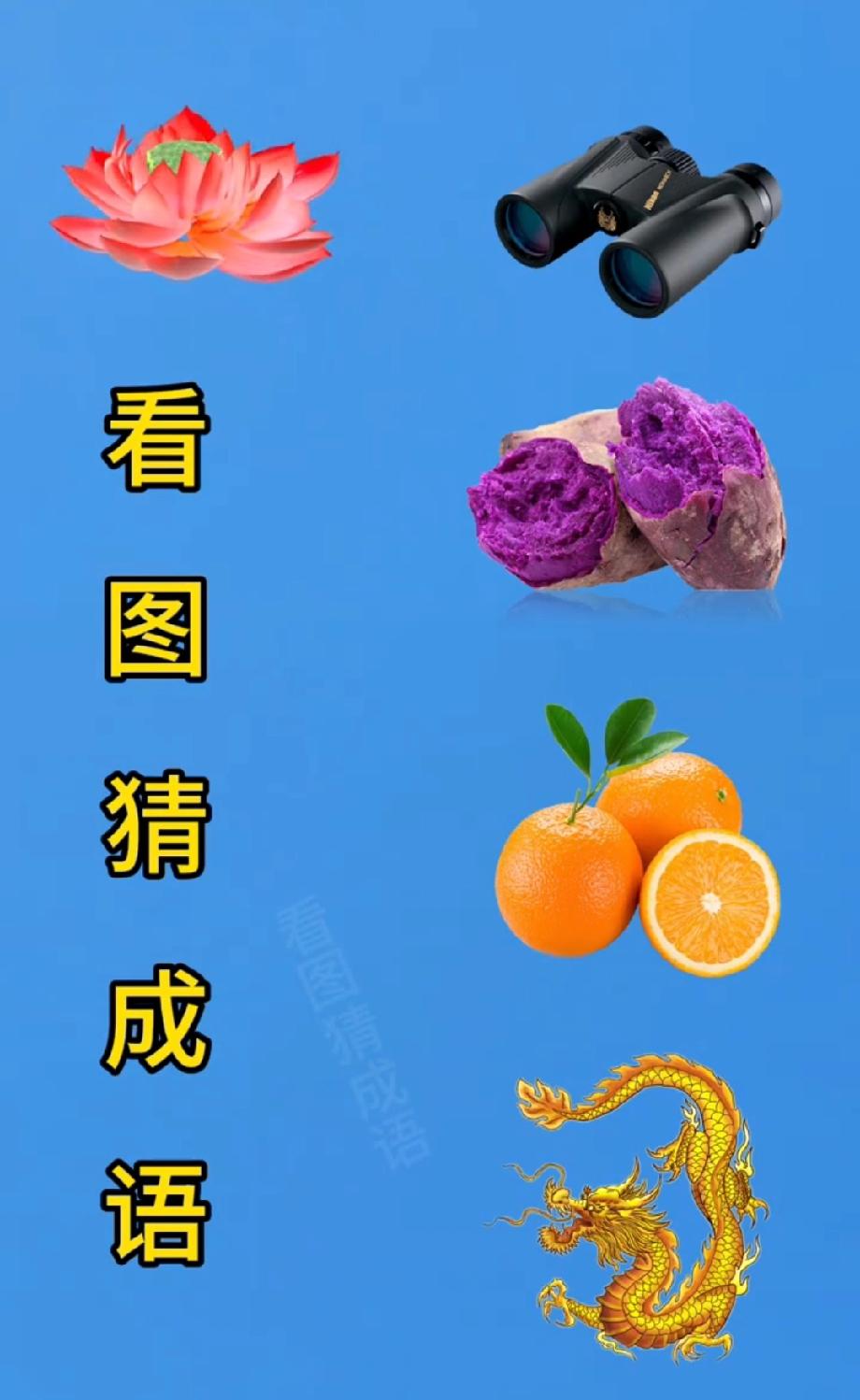  笑哭！全网都在猜的成语题，荷花望远镜紫薯橙子龙，你想到答案了吗？