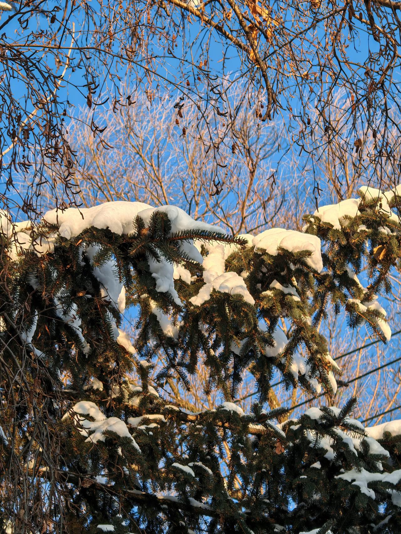 与痛风斗争的历程139凌晨三点便醒了起身，今日要做肠镜，得提前喝药清