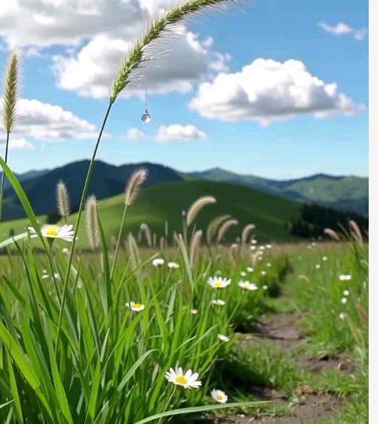 我和女友订婚刚4天，她就提分手还只肯退一半彩礼，说剩下的是“人情赠与”，这操作真