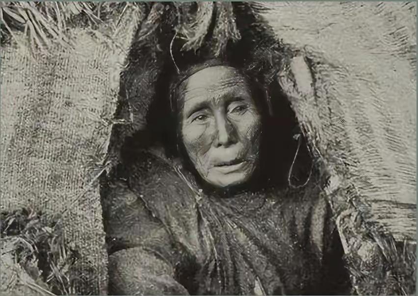 1950年，清剿湖南6万残匪的军长杨梅生路过小镇，见一乞丐老太酷似亡母，派警卫去