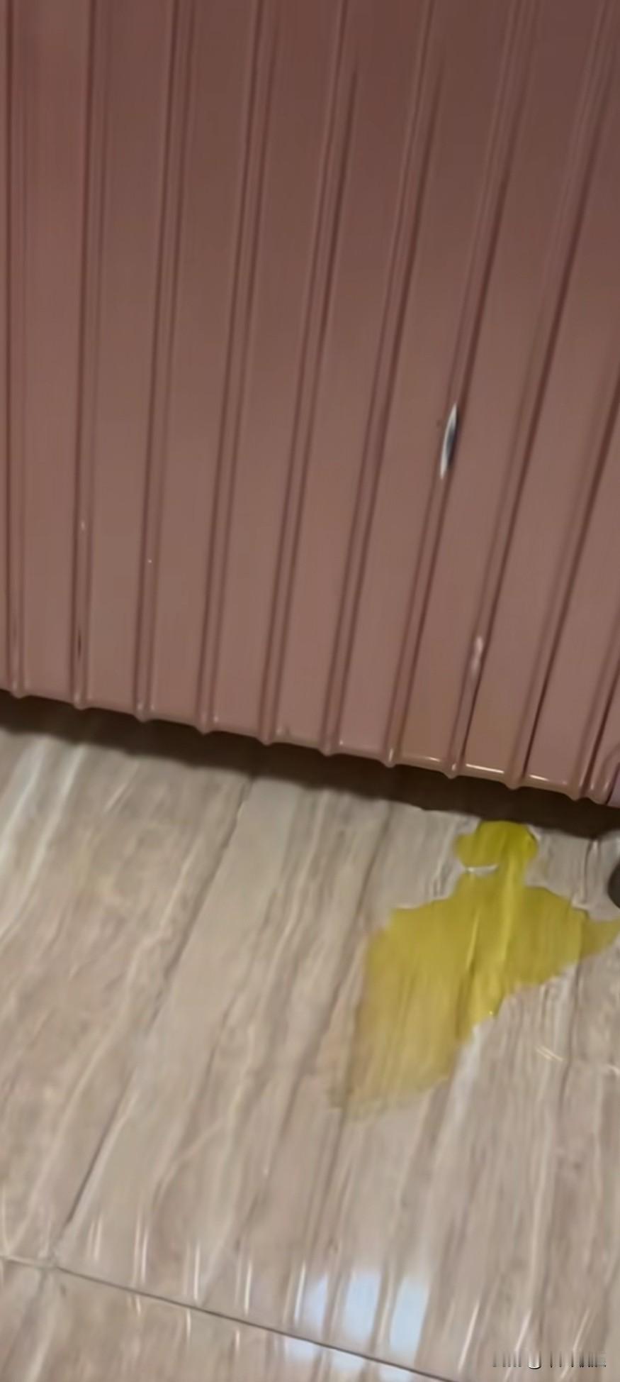 泰迪公狗随地乱拉乱尿尿，主人十分脑火，正握着扫把准备教训它。胆小的它起身子站立在