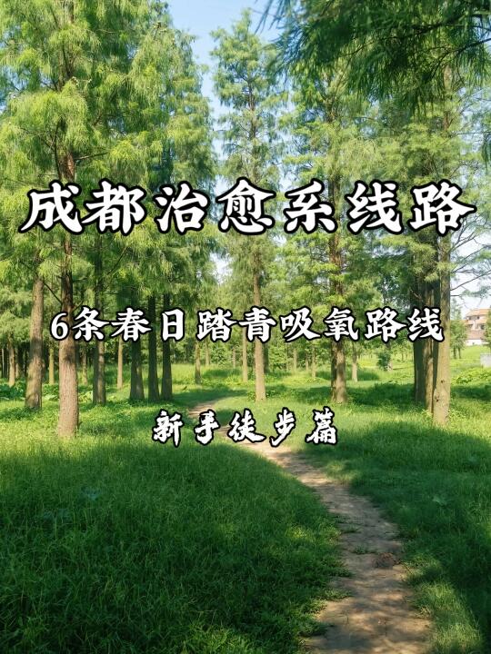 成都治愈系线路🚩这个春天一定不要错过❗