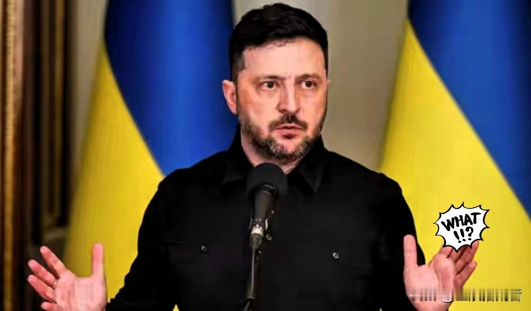 泽连斯基一招能源牌，欧盟900亿要落地2026年4月21日泽连斯基宣布“