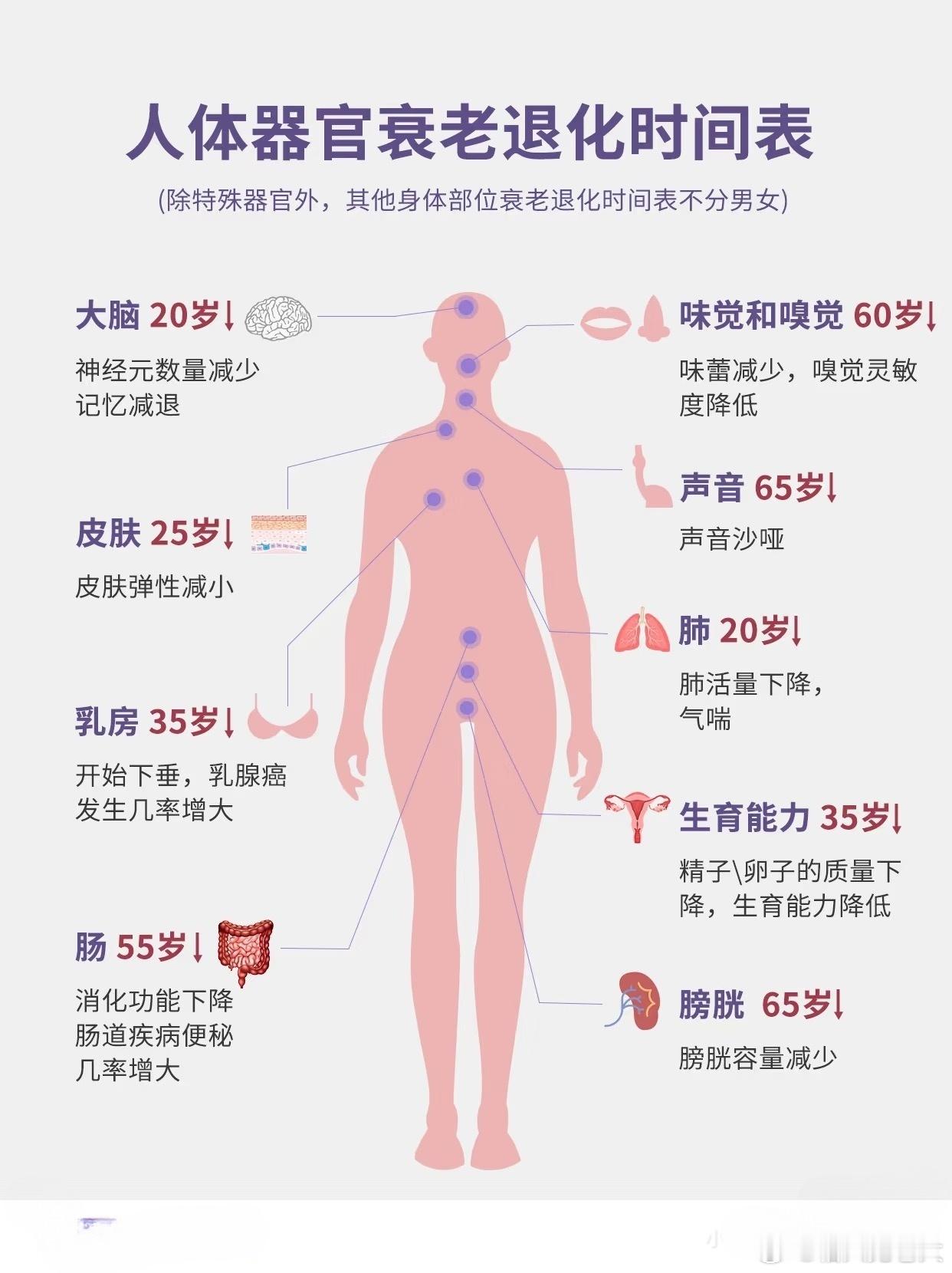 真的，过了30岁人体就开始走下坡路了30岁是巅峰，30以后都是衰退平时早睡早起，