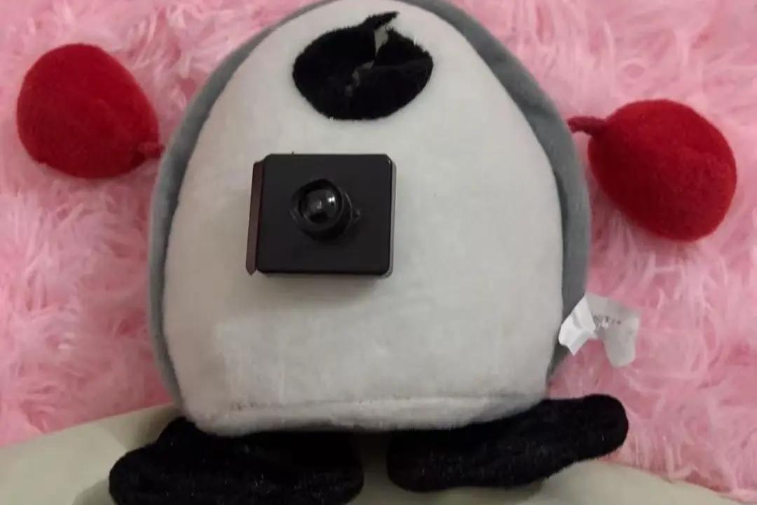 近日，广西南宁的梁女士在某电商平台购买了一款造型可爱的布偶玩具，收货后却意外发现