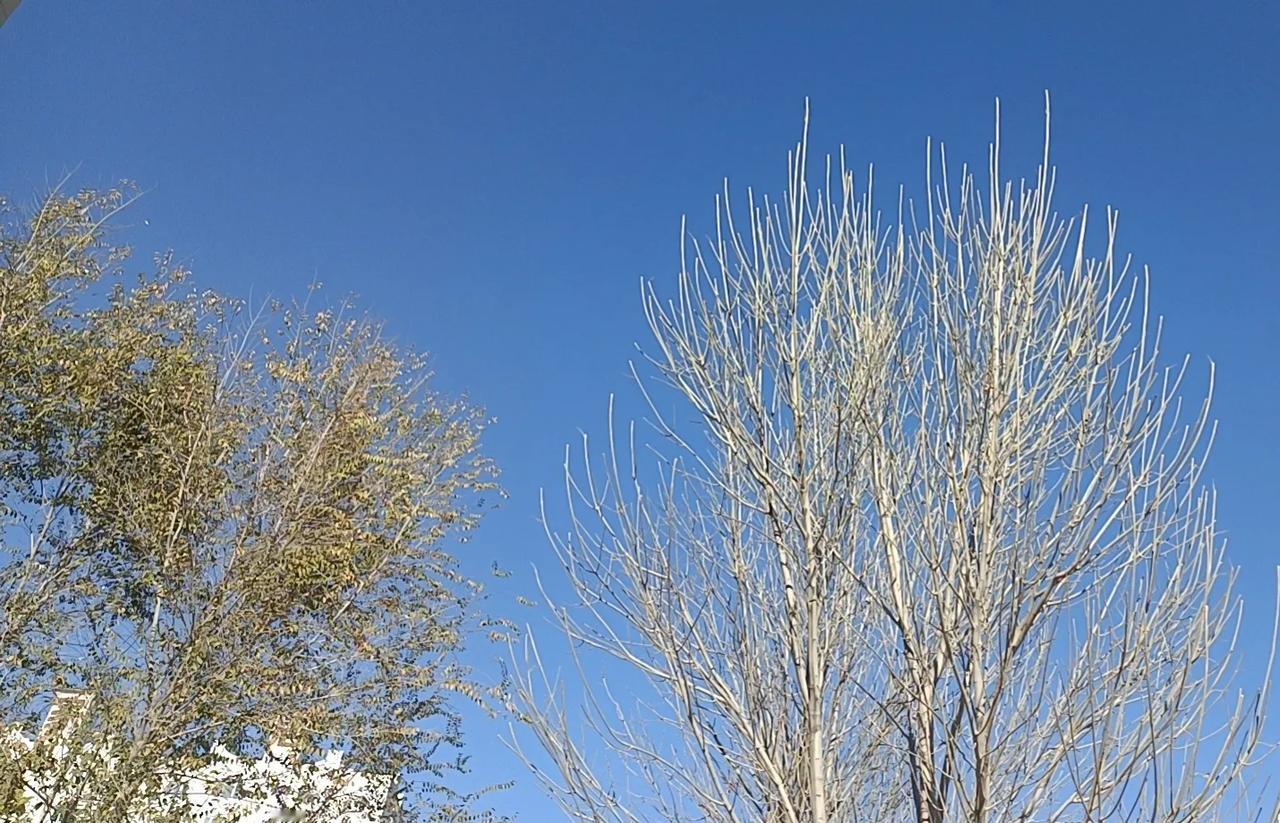 为什么，农村现在钱多的人低调，少钱的人反而还张扬些呢？农村的打工人回老家最起劲的