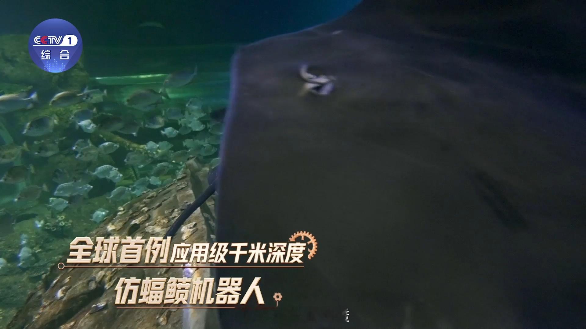 仿生鱼已经进化到这种程度了吗只有你想不到，没有科学家们做不到！仿生鱼不仅可以做到