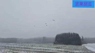 俄罗斯蜂群。一段视频显示，雪地里一辆坦克在睡觉，突然一群FPV赶来，陆续砸到了坦