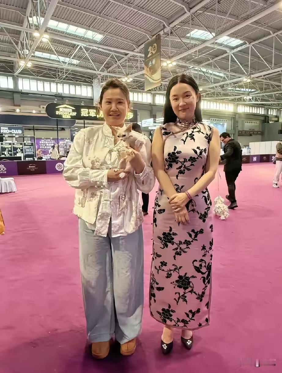 明星真的别随便和路人合照，一不小心就成“大型翻车现场”！霍思燕亲身经历太真实了。