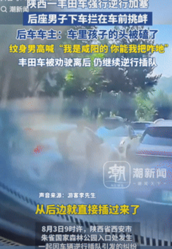 好大的威风！陕西西安，一男子自驾去景区游玩，可在排队进去时，遇到一辆车强行逆行加