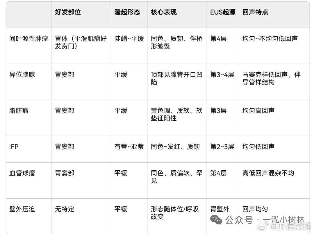 上消化道内镜中胃SMT的偶然发现率约0.4%，经EUS诊断的病例中，间叶源性肿瘤