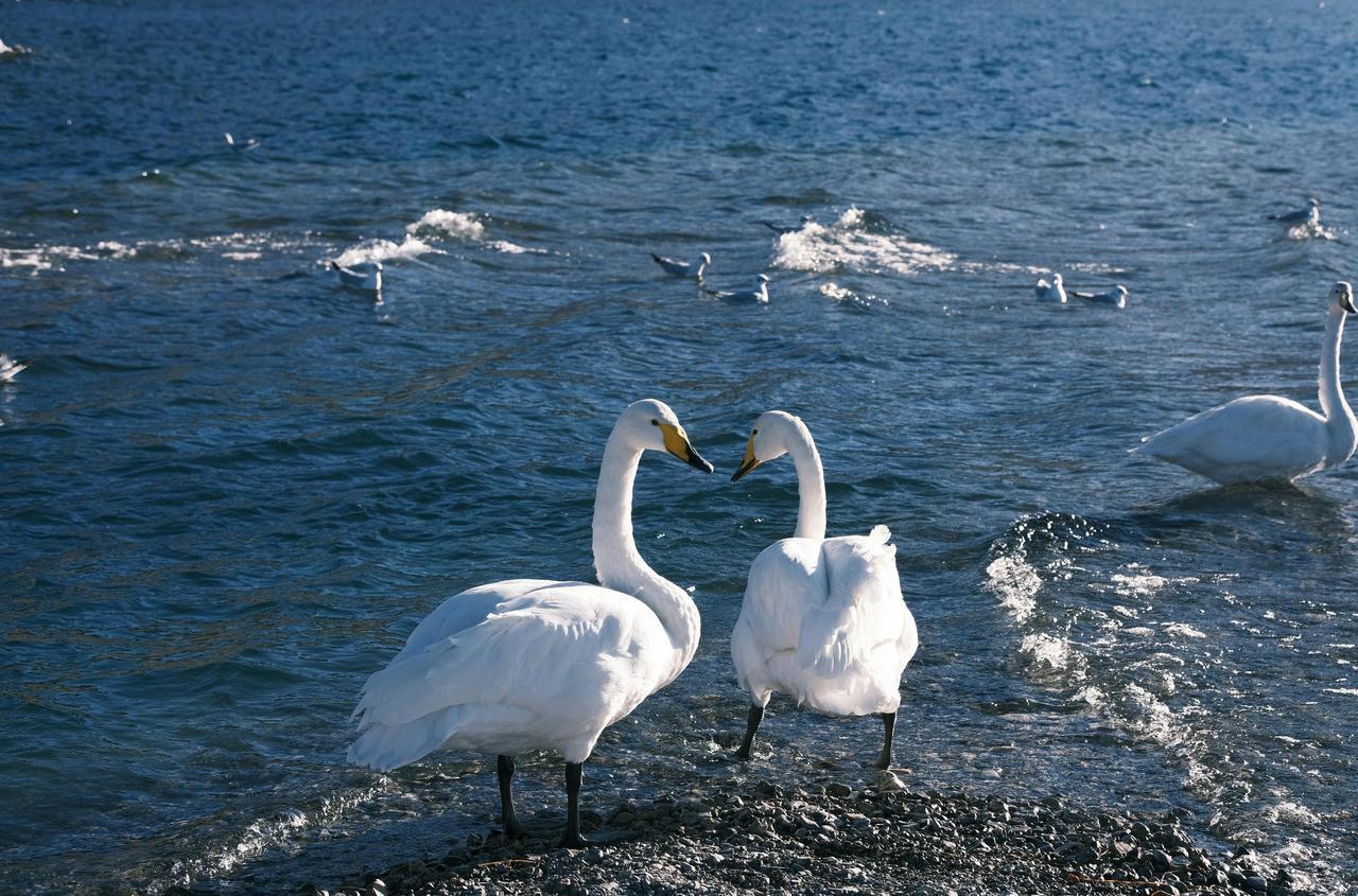 为什么科学无法解释飞机能够飞起来？时至今日，科学也无法完全解释能飞机能够飞起来