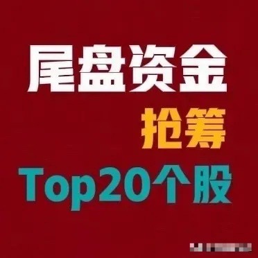8月5日｜A股尾盘30分钟资金抢筹前20个股：1.工业富联｜尾盘净流入12.6