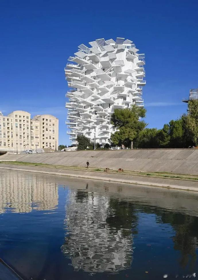 如果成龙在这楼上，你根本就抓不住他吧