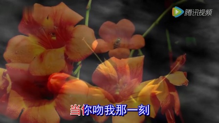 Y.圆舞曲(ok++双语字幕)对唱_土豆视频