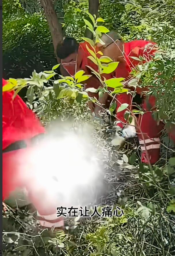 这是所有人最不愿意等到的一个结局，程梦圆找到了，在张良垴悬崖底下，二十二岁，还没