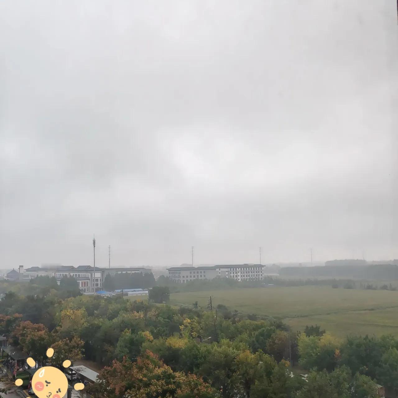 彻底没招了，河南的天气，让我们已经很久没穿过，有阳光味的衣服了。这叫下