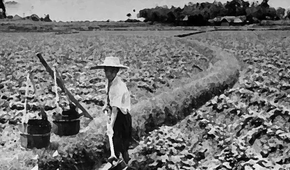 1993年，河北村民的一次农田灌溉，揭开了一座辽代古墓的神秘面纱。更让人感到惊