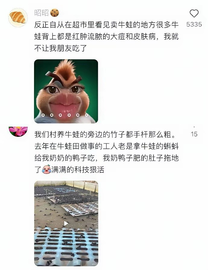 难怪越来越少人吃牛蛙了