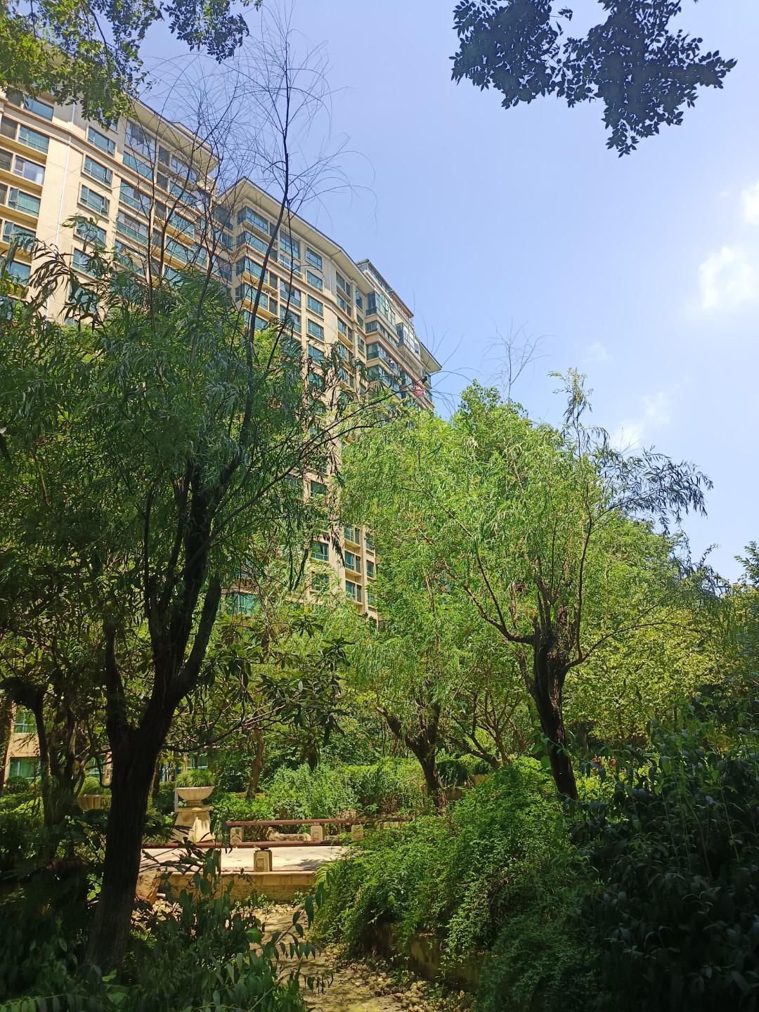 我和妯娌十年就没见过面，也没有电话联系。她和小叔子的关系不好，两人分居着，为了两