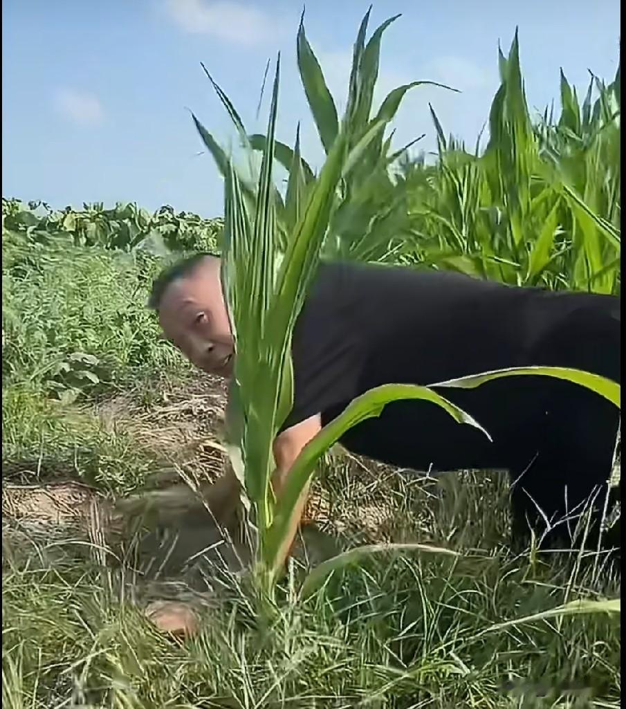 胖东来老板于东来又上热搜了。这回不是因为给员工发钱，也不是因为“委屈奖”，而