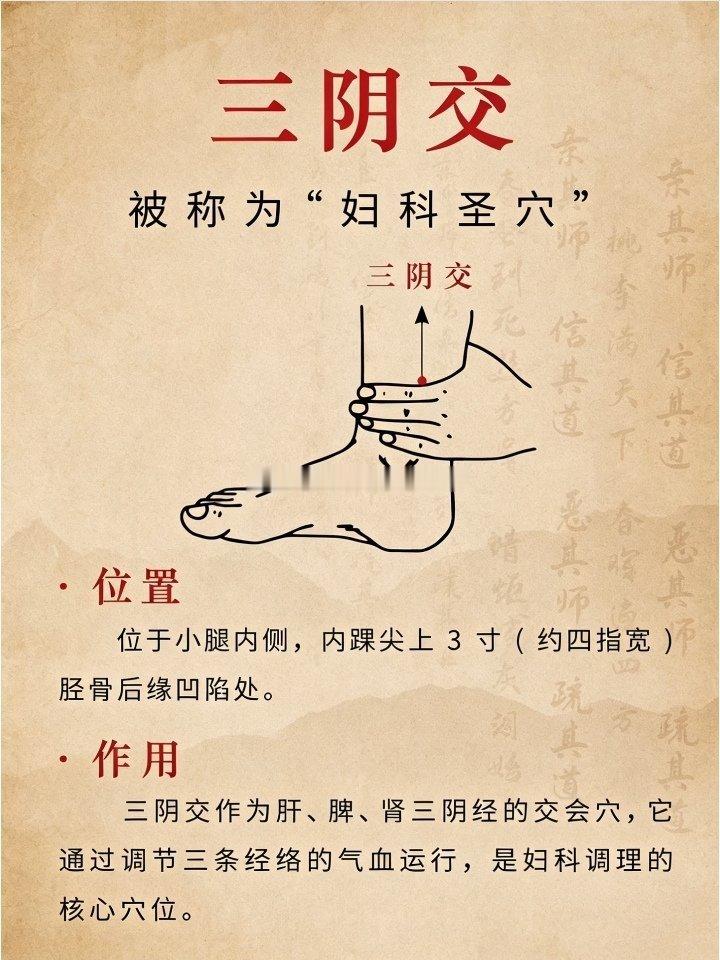 比莲子会补脾，比芡实会补肾，每天一次，先天、后天都养好了原创：温暖中医有一个穴位