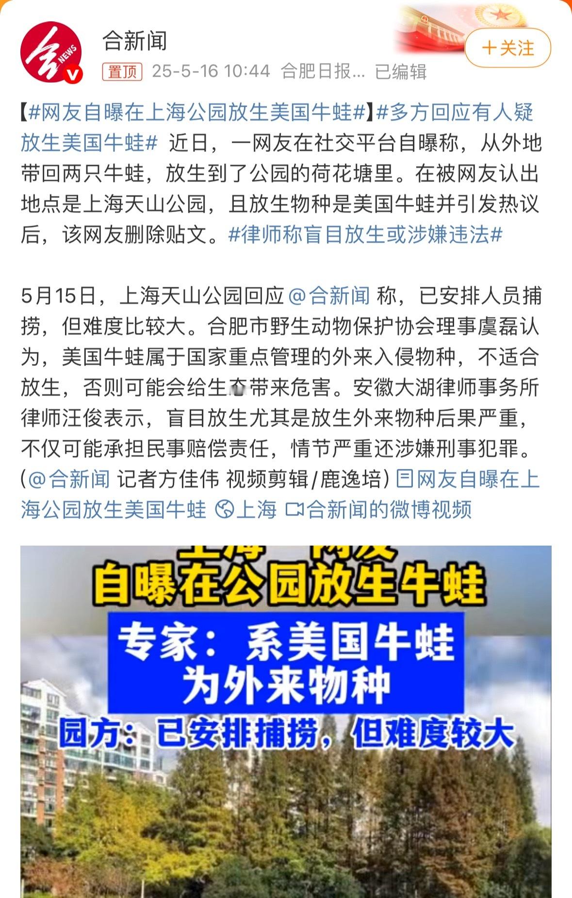 网友自曝在上海公园放生美国牛蛙乐了，前两个月的土拨鼠还没着落呢。又来个放生美国牛