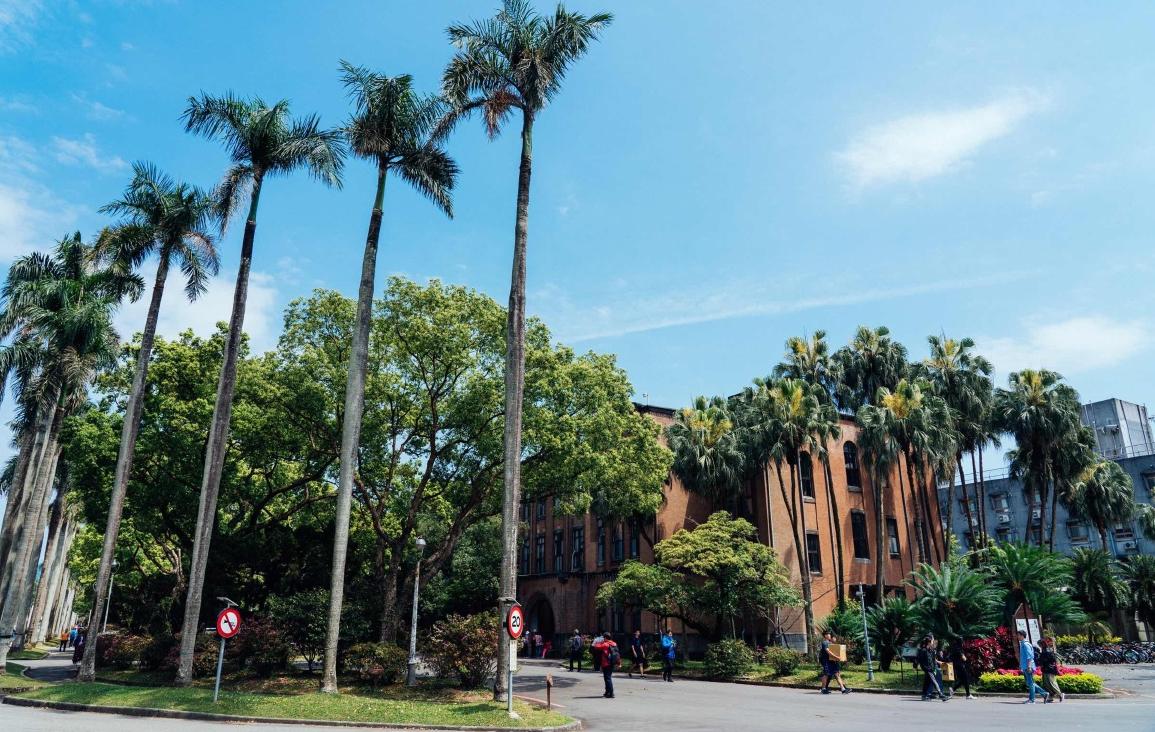 一帅气小伙赴台交流学习，遇漂亮学姐主动示爱，谈起了恋爱。小伙回来后念念不忘，女子
