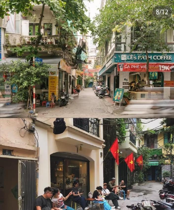 越南老板的留学投资堪称年度最惨翻车现场——当年算盘打得全越南都听见，精挑细选一拨