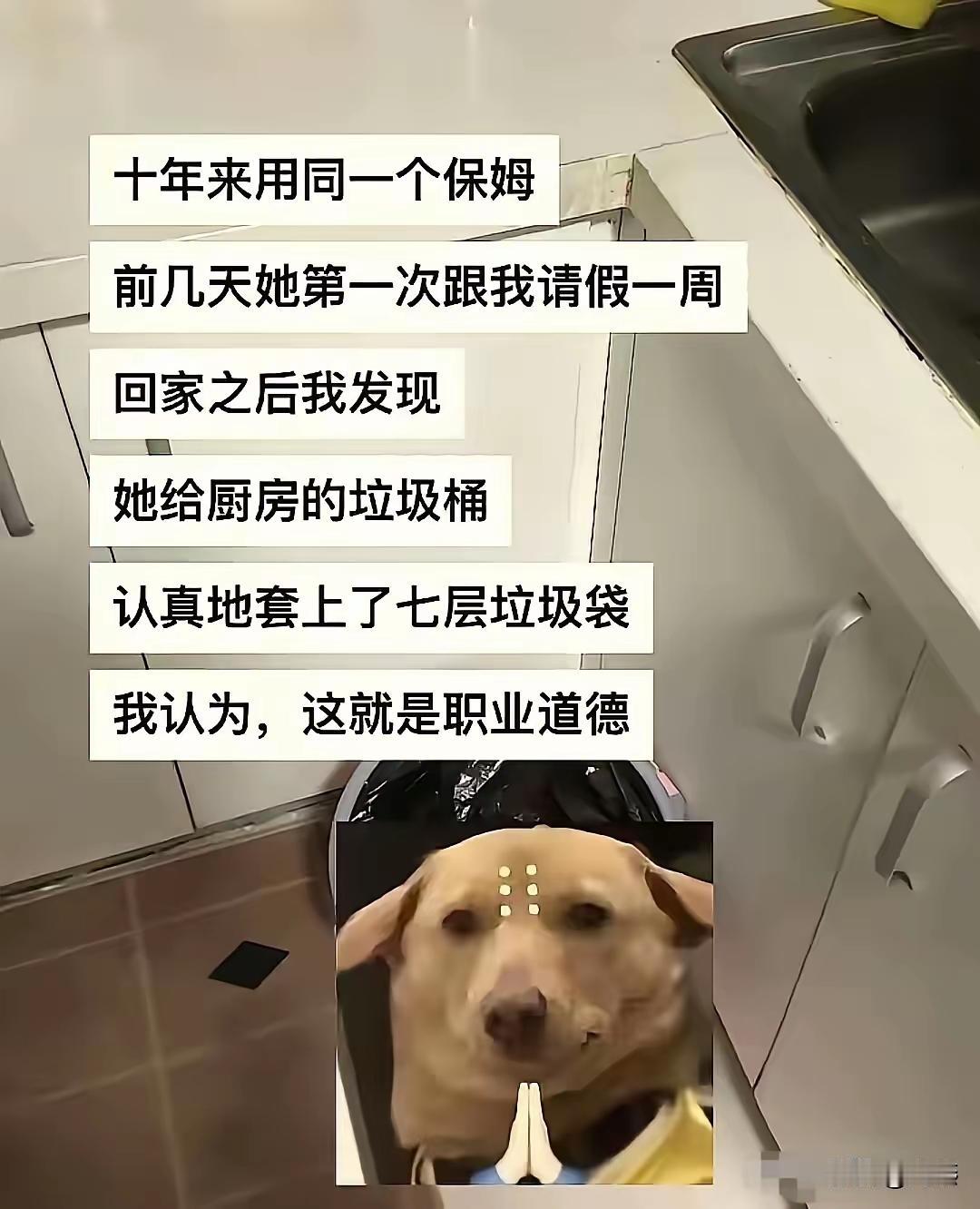 道理我都懂，可为什么垃圾桶里有狗？[笑着哭]
