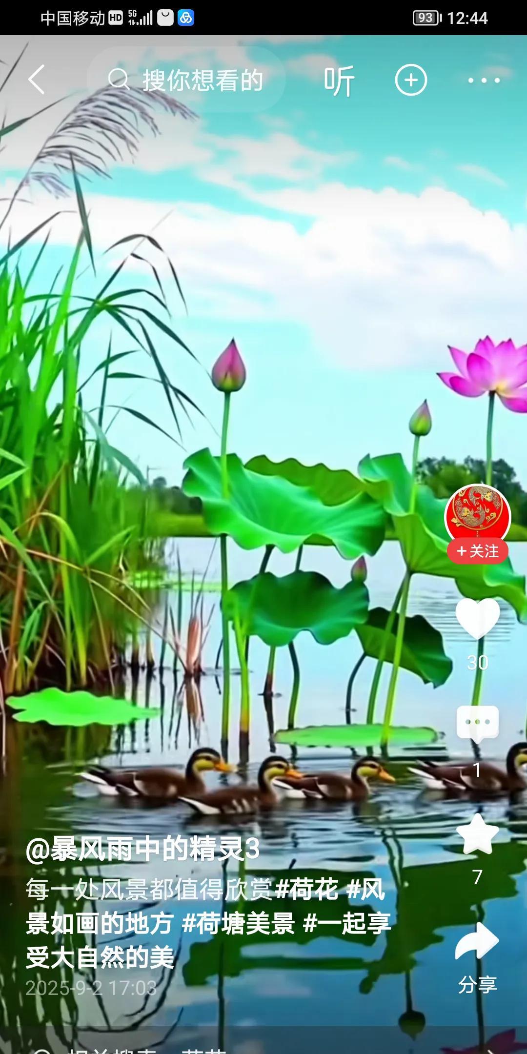 五绝·荷塘美景文/方立新荷青欢鸭子，蕾绽艳清泉。仲夏风光美，池塘泛碧涟