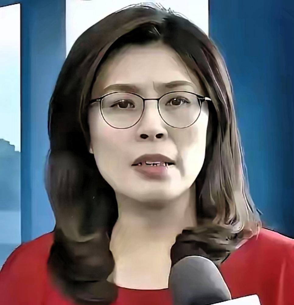 国民党主席郑丽文发布声明​台湾现在快没气烧了。天然气库存只剩一周，全岛一半的电