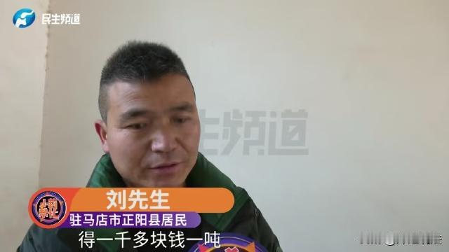 太坑了！河南驻马店，男子卖了250袋约9000斤花生，双方约定剥出来后花生米卖给