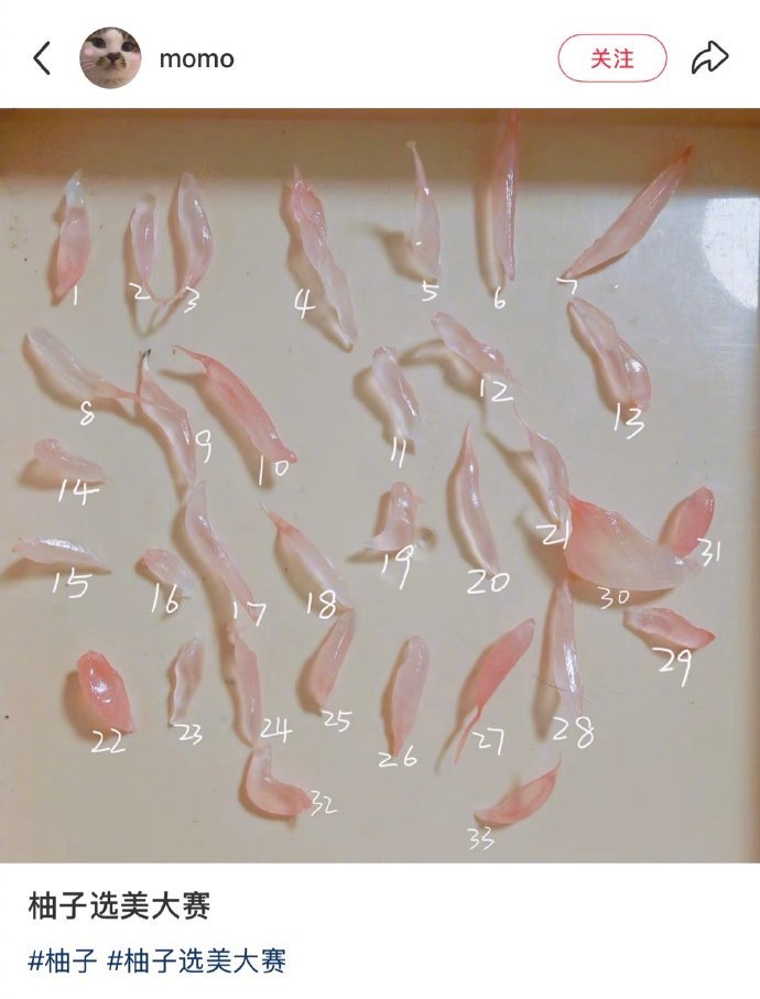 柚子选美大赛谁赢了​​​​