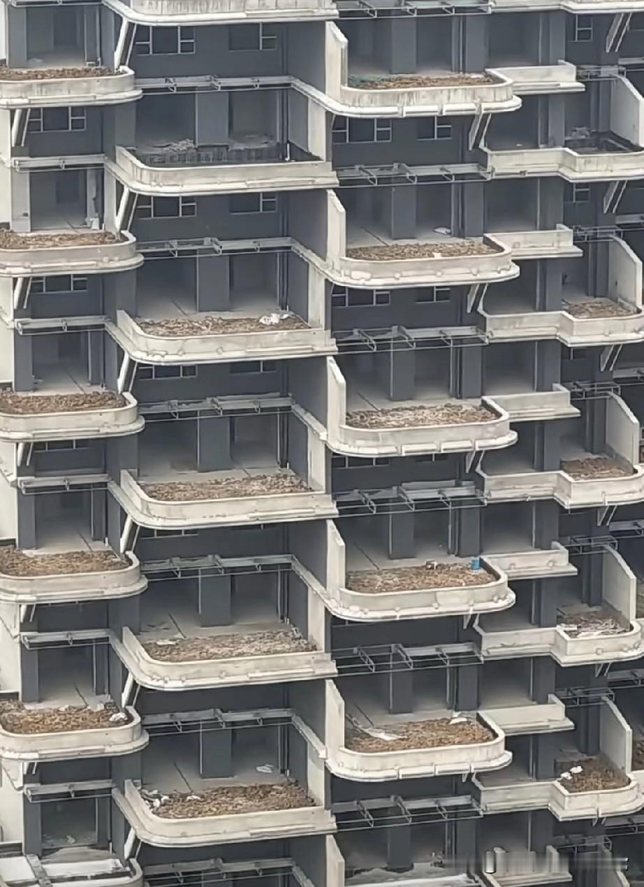 这第四代住宅看着炫，住进去你会疯了！刷到这“第四代住宅”的外立面，跟积木堆