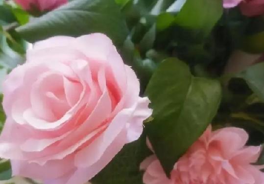 我们单位有个同事大姐50多了，活的特别分裂！让人无法理解。她能够一出手就是1