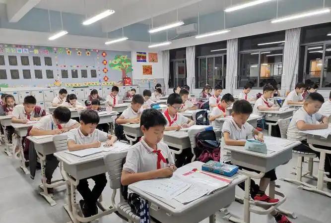 资深班主任才敢告诉你的，关于小学的几个真相！1、小学择校距离大于一切，别为了追