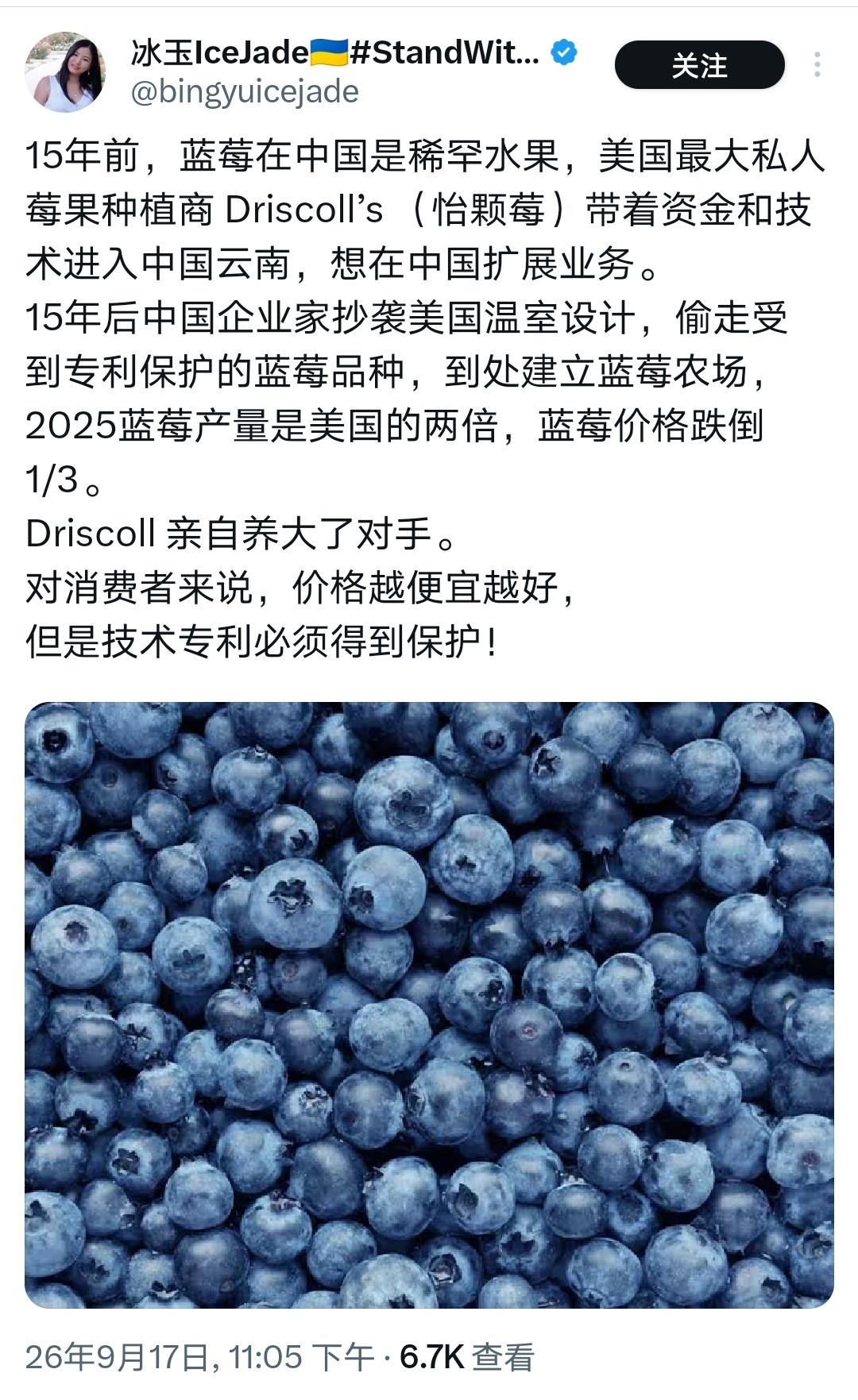 这位美国高华大婶有点搞笑！中国大棚种植早就有三四十年历史。早年北方寒冬，没有