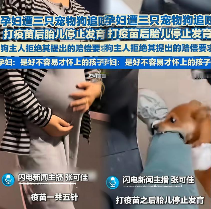 揪心！近日，一孕妇遇三只宠物狗追咬，接种狂犬疫苗后胎儿停止发育。这是她好不容易