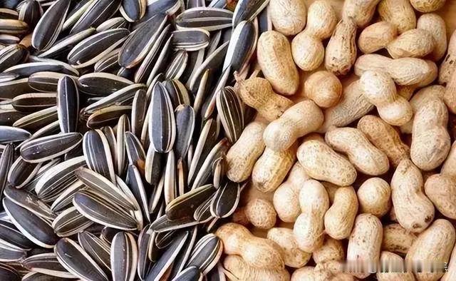 瓜子和花生，一个增肥，一个减肥，瞧瞧你吃对了吗？读完涨知识了追剧闲聊时，瓜